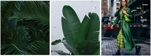 色彩趋势 忘掉牛油果绿！2019下半年这几个颜色较火！(图25)